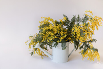 mimosa brunches 