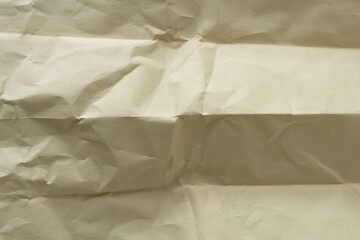 retro green/faded paper vacuum bag  
