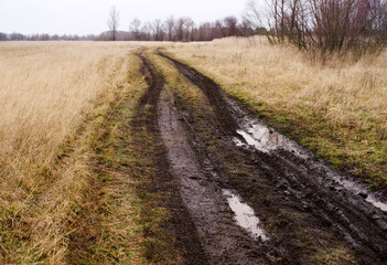 Fototapeta na wymiar Road with muddy puddles in spring field after rain. Autumn or spring background.