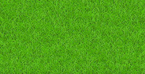 明るい芝生のベクター素材