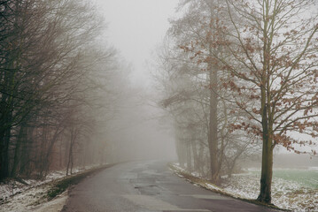 Obraz premium along the meadows there is a road with fog
