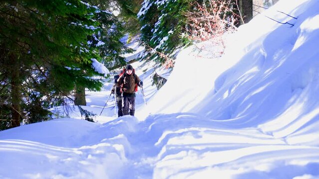 Backpackers go to the top of the hiil early in the morning. Beautiful sunrise at mountains. Winter snowy forest. Shiny winter day.