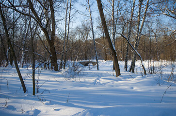 Bridge in winter snowy park