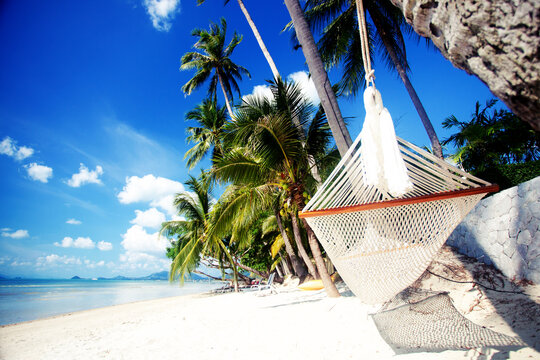 summer holidays relax tropical background