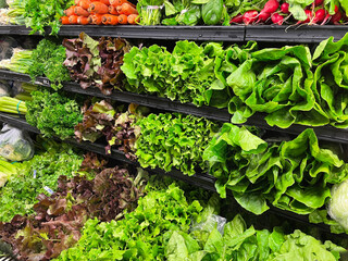 store produce department interior fresh greens wet wall close up