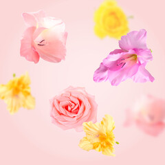 Flying fresh flowers on pink background