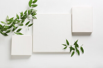 Blank posters and plant branches on white background
