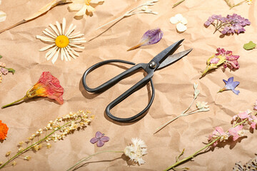 Composition with dried pressed flowers and scissors on craft paper