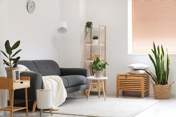 Interior of modern living room with houseplants and sofa
