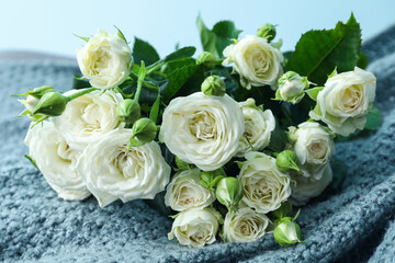 Bouquet of beautiful fresh roses on plaid against blue background