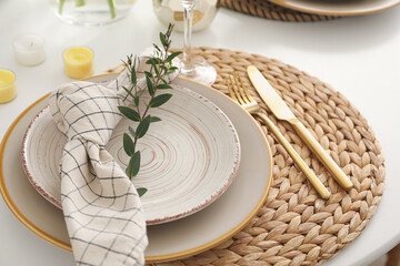 Stylish table setting with green branch