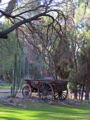 Fototapeta na wymiar old mexican carriage in a garden