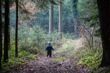 One year old boy walking in spruce forest