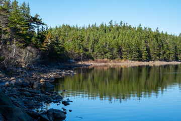 Obraz premium A wide river with smooth blue water. There are luscious green trees along the riverbank. The sky is blue with white fluffy clouds. The calm and peaceful pond water is reflecting the sky and trees.