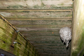A large wasp hornet's nest is attached to a wooden patio deck. The grey papery material is in layers forming a round shape with a small circular opening at the bottom of the insect hive or honeycomb. 