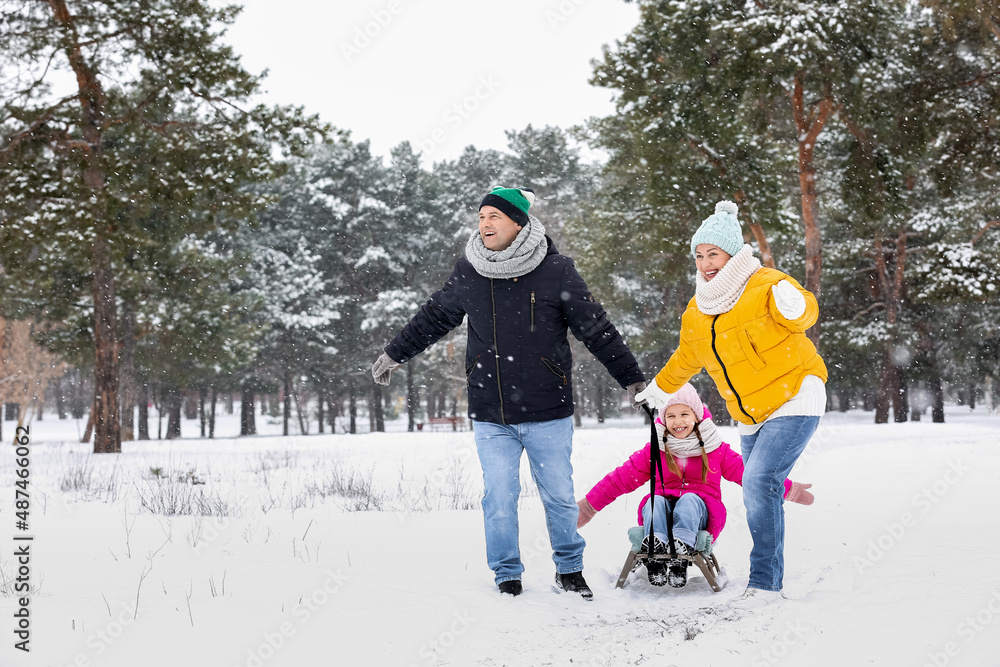 Canvas Prints little girl with her grandparents sledging on snowy winter day