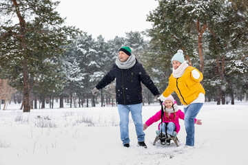 Little girl with her grandparents sledging on snowy winter day