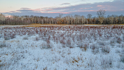 Snow covered field under a dusk sky