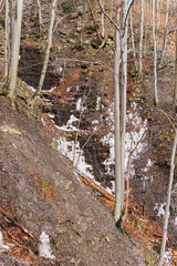 Forest stream in frosty autumn in the forest.