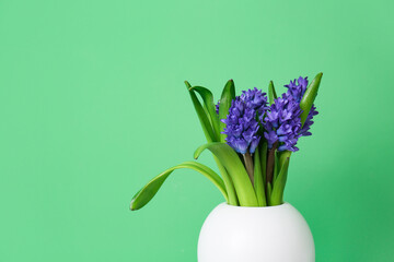 Vase with beautiful flowers on green background