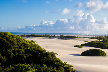 Praia do saco em Sergipe, lugar com dunas e vegetação - obrazy, fototapety, plakaty