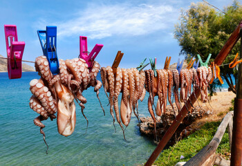 Squid hanging on a clothesline with blue sky and sea background