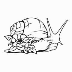 Snail design vector, snail logo with flower illustration