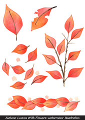 Red and orange color Autumn leaves watercolor illustration set for Autumn season and Thanksgiving festival.