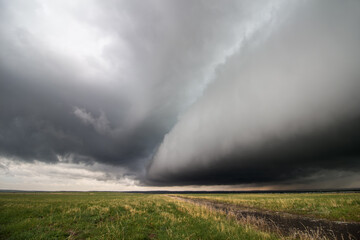 Naklejka na ściany i meble A thick shelf cloud approaches as a powerful storm moves across a field in the plains.