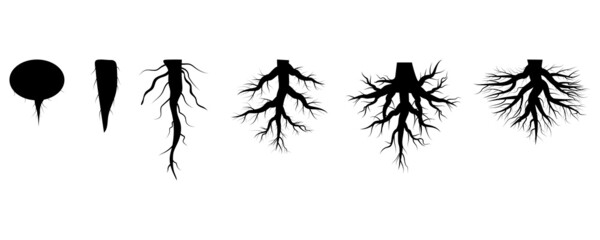 Roots set. Design spring tree illustration. Floral branch. Nature background. Vector illustration. stock image. - obrazy, fototapety, plakaty