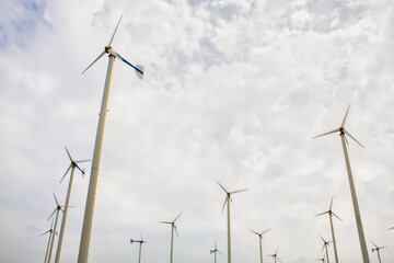Wind turbines for producing clean energy to prevent global warming are the energy of the future.