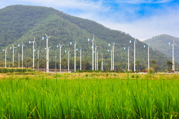 Wind turbines for producing clean energy to prevent global warming are the energy of the future.