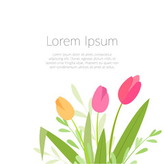 Floral frame, delicate tulips. Poster, template