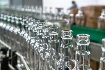 Conveyor belt carries clean glass bottles for alcohol drinks