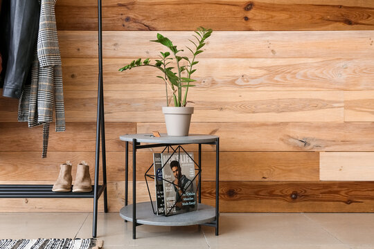 Table with houseplant and magazine stand near wooden wall