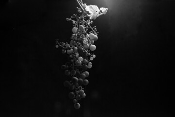 bunch of grapes illuminated at night, black and white