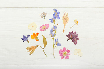 Composition with dried pressed flowers on white wooden background