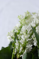 Bouquet of white lilac and lisianthus flowers