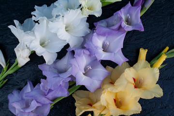 gladiolus, gladiolus flower, frame, background, place for text, garden flower, love, heart - obrazy, fototapety, plakaty