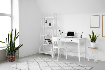 Interior of light room with modern workplace, shelving unit and houseplants