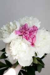large white and red peonies on a white background