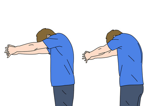 肩甲骨images Browse 952 Stock Photos Vectors And Video Adobe Stock