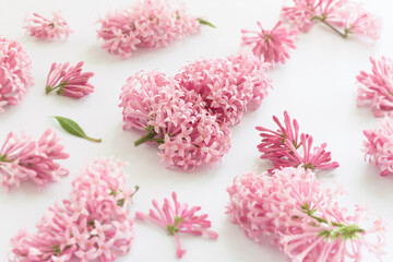 Soft focus,bluered pattern with pink Persian lilac flowers on a white background. 