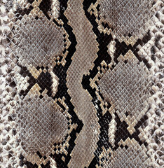 snake skin texture seamless