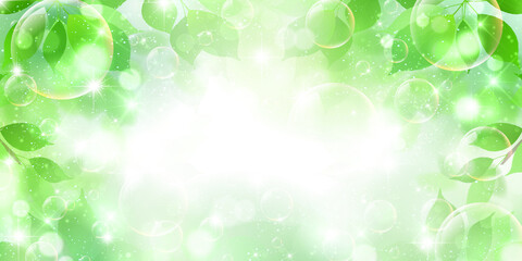 Fototapeta premium 新緑 葉 春 背景