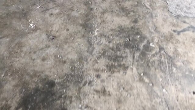 Cement ground floor between walking