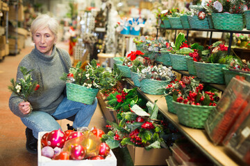 Smiling senior woman having fun choosing colorful festive Christmas decorations for home interior on holidays eve in store