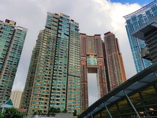Urban Jungle