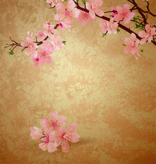 spring blossom cherry tree and pink flowers on brown old paper grunge background