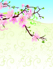 cherry blossom branch on flourish wave background